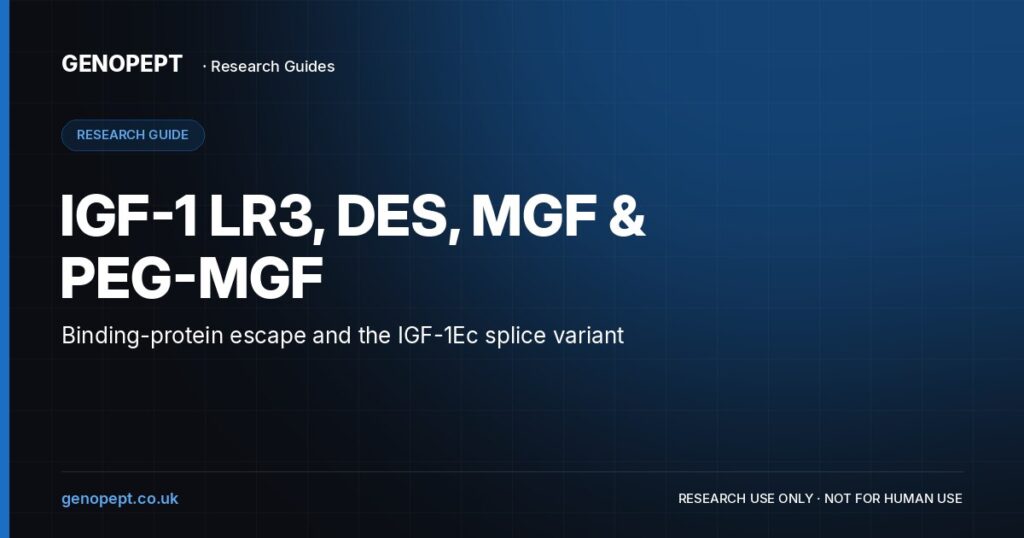 IGF-1 LR3, DES, MGF & PEG-MGF — GenoPept research guide (research use only)